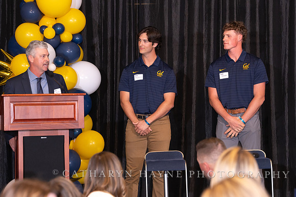 Baseball: California Golden Bears : For the Love of the Game