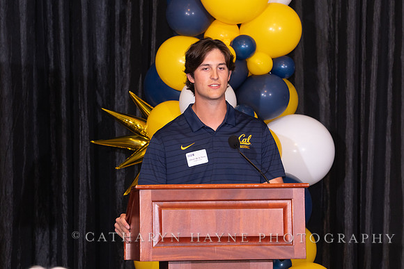 Baseball: California Golden Bears : For the Love of the Game
