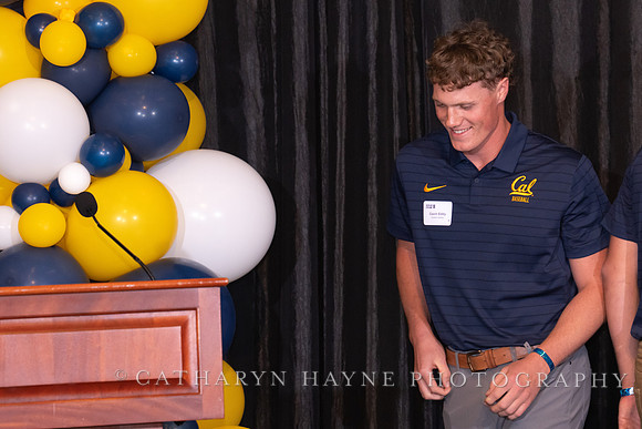 Baseball: California Golden Bears : For the Love of the Game