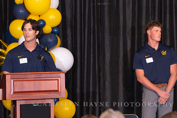 Baseball: California Golden Bears : For the Love of the Game