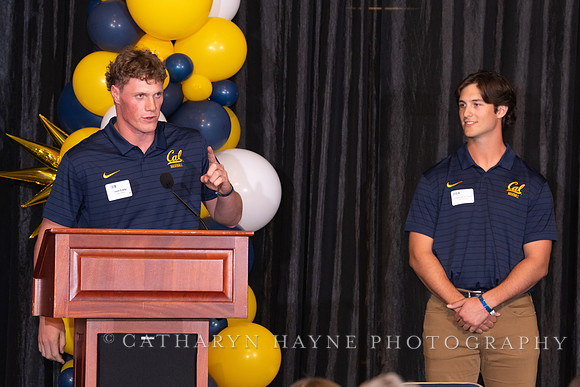 Baseball: California Golden Bears : For the Love of the Game