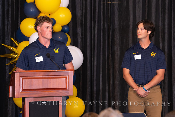 Baseball: California Golden Bears : For the Love of the Game