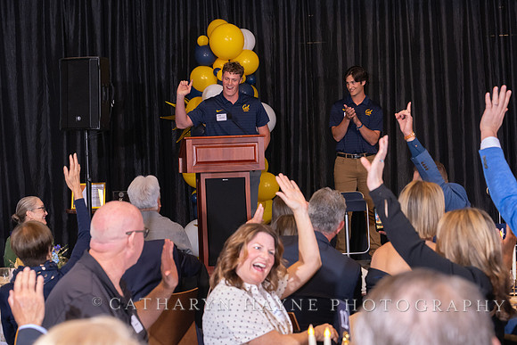 Baseball: California Golden Bears : For the Love of the Game