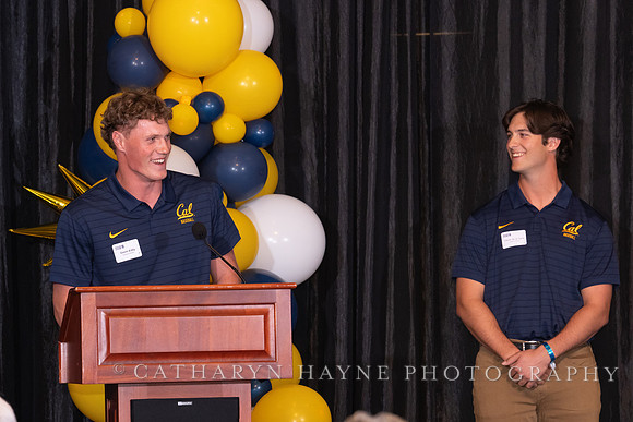 Baseball: California Golden Bears : For the Love of the Game
