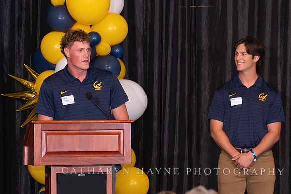 Baseball: California Golden Bears : For the Love of the Game