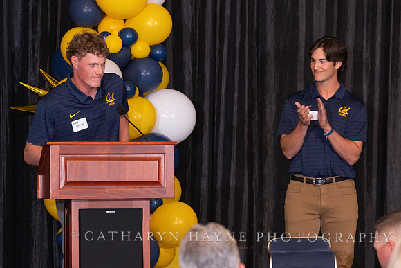 Baseball: California Golden Bears : For the Love of the Game