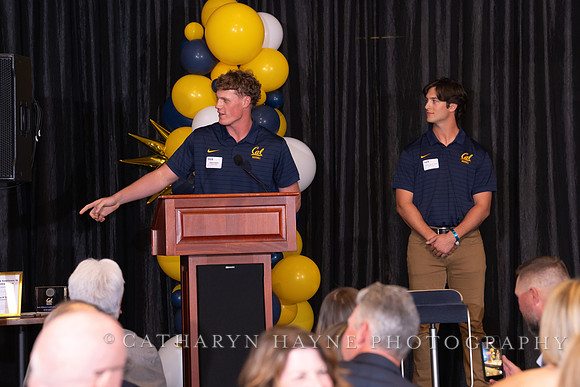 Baseball: California Golden Bears : For the Love of the Game