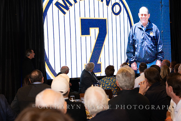 Baseball: California Golden Bears : For the Love of the Game