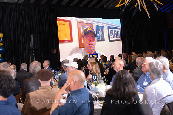 Baseball: California Golden Bears : For the Love of the Game