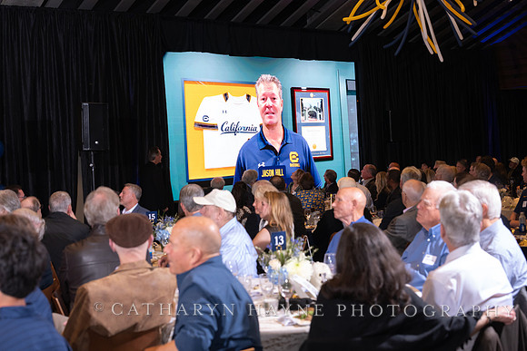 Baseball: California Golden Bears : For the Love of the Game