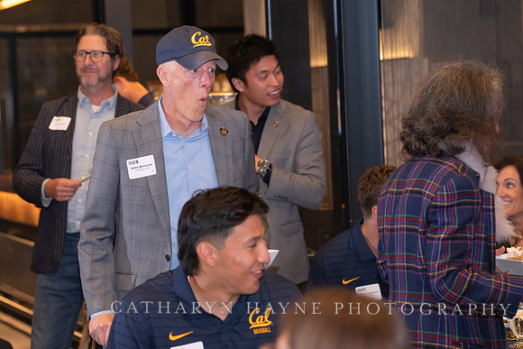 Baseball: California Golden Bears : For the Love of the Game