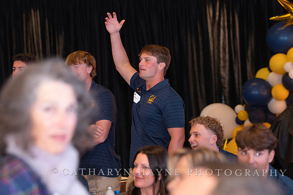 Baseball: California Golden Bears : For the Love of the Game