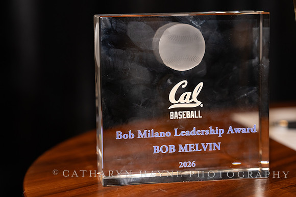Baseball: California Golden Bears : For the Love of the Game