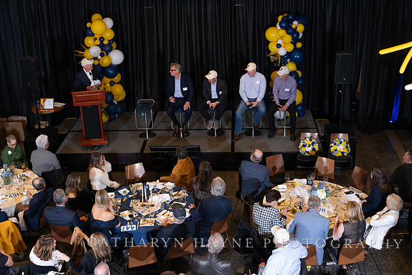 Baseball: California Golden Bears : For the Love of the Game