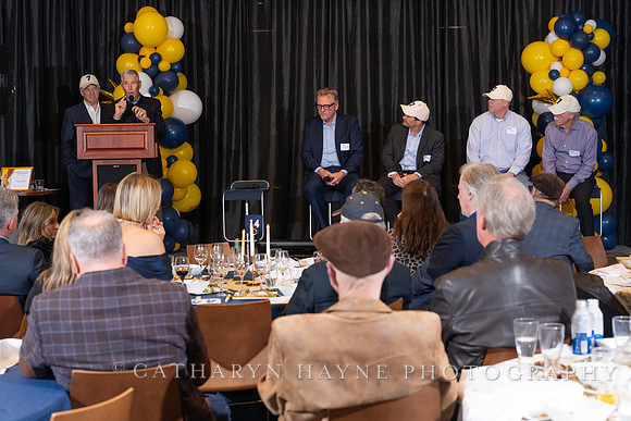 Baseball: California Golden Bears : For the Love of the Game