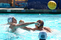MWP:California Golden Bears vs USC Trojans