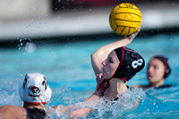 WWP: Brown University Bears vs UOP Tigers :Bronco Invitational