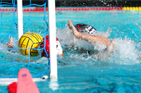 WWP: Brown University Bears vs UOP Tigers :Bronco Invitational