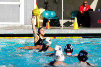 WWP: Brown University Bears vs UOP Tigers :Bronco Invitational