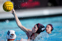 WWP: Brown University Bears vs UOP Tigers :Bronco Invitational
