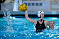 WWP: Brown University Bears vs Santa Clara Broncos :Bronco Invitational