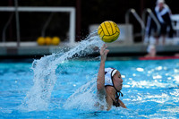 WWP: Brown University Bears vs Santa Clara Broncos :Bronco Invitational