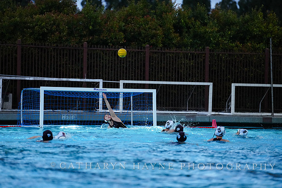 WWP: Brown University Bears vs Santa Clara Broncos :Bronco Invitational
