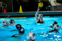 WWP: Brown University Bears vs Santa Clara Broncos :Bronco Invitational