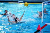 WWP: Brown University Bears vs Santa Clara Broncos :Bronco Invitational
