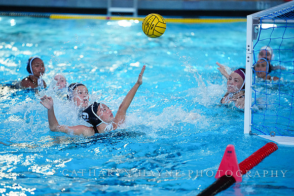 WWP: Brown University Bears vs Santa Clara Broncos :Bronco Invitational