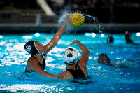 WWP: Brown University Bears vs Santa Clara Broncos :Bronco Invitational