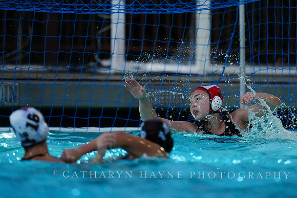 WWP: Brown University Bears vs Santa Clara Broncos :Bronco Invitational