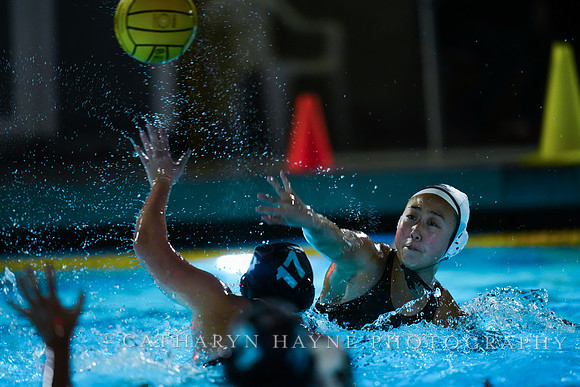 WWP: Brown University Bears vs Santa Clara Broncos :Bronco Invitational