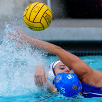 WWP: Brown University Bears vs SJSU Spartans  :Bronco Invitational