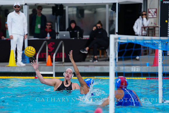 WWP: Brown University Bears vs SJSU Spartans  :Bronco Invitational