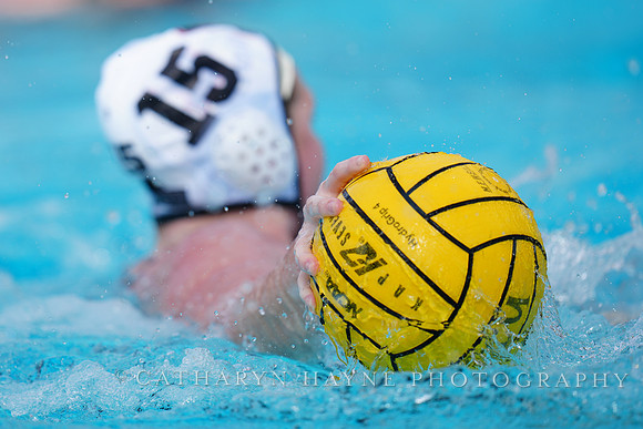 WWP: Brown University Bears vs SJSU Spartans  :Bronco Invitational