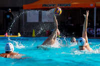 USAWP NL: Golden Bears vs Big Valley