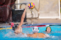 USAWP NL: Golden Bears vs Big Valley