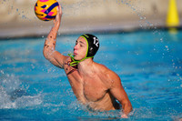 USAWP NL: Golden Bears vs Big Valley