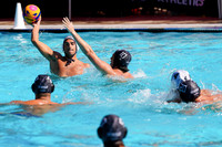USAWP NL: Newport Cardinals  vs Aggies