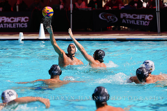 USAWP NL: Newport Cardinals  vs Aggies