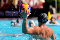USAWP NL: Newport Cardinals  vs Aggies