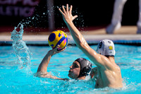 USAWP NL: Newport Cardinals  vs Aggies