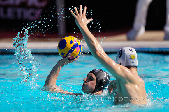 USAWP NL: Newport Cardinals  vs Aggies