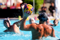 USAWP NL: Newport Cardinals  vs Aggies