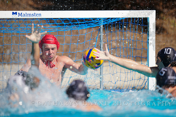 USAWP NL: Newport Cardinals  vs Aggies