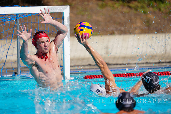 USAWP NL: Newport Cardinals  vs Aggies