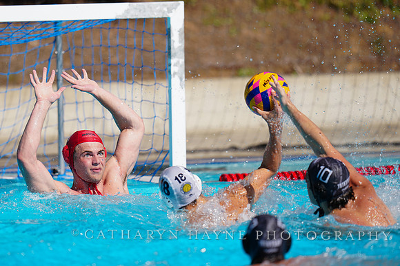 USAWP NL: Newport Cardinals  vs Aggies