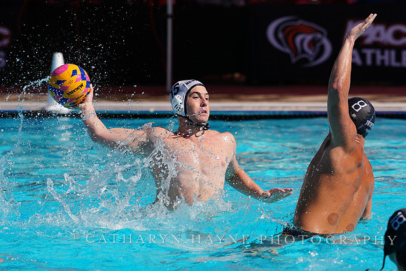 USAWP NL: Newport Cardinals  vs Aggies