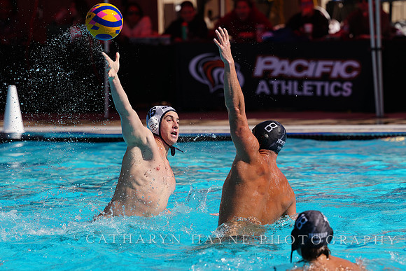 USAWP NL: Newport Cardinals  vs Aggies